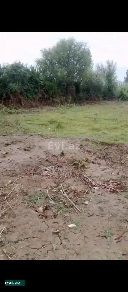 Həyət evi 25 m² Satılır Saatlı rayonu Qırağlı kəndi