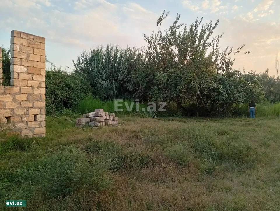 Həyət evi 25 m² Satılır Saatlı rayonu Qırağlı kəndi