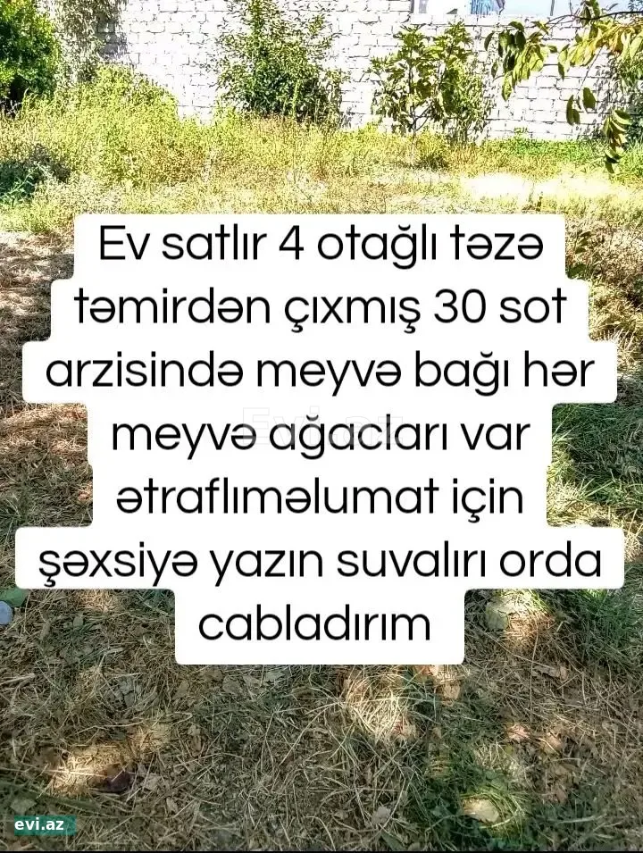 Həyət evi Şabran rayonu, 30 sot