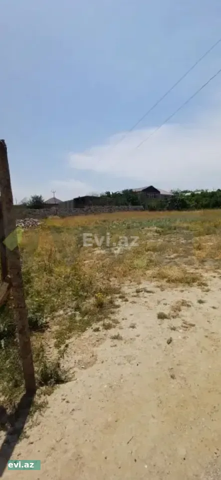 7,36 Sot Torpaq TOVUZ özünde