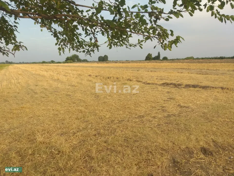 2.30 Sot Torpaq Tərtər rayonu