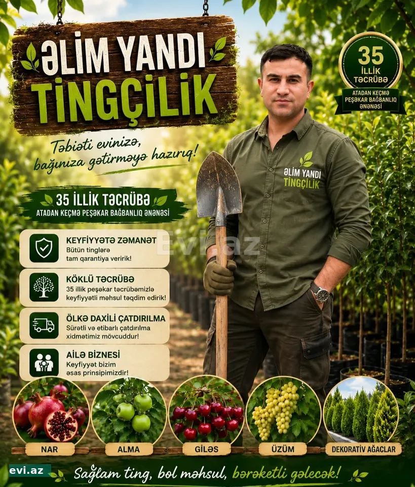 Saqi Tingçilik