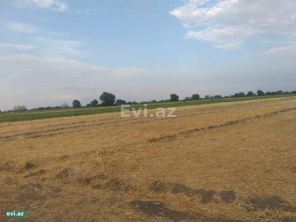 2.30 Sot Torpaq Tərtər rayonu soyulan kəndi
