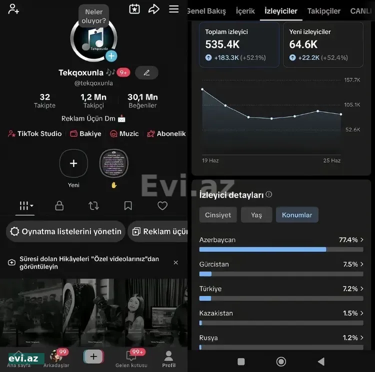 Tiktok sehifesi