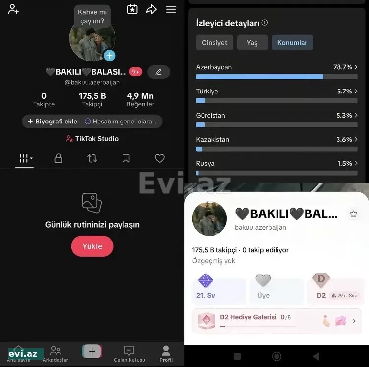Tiktok sehifesi