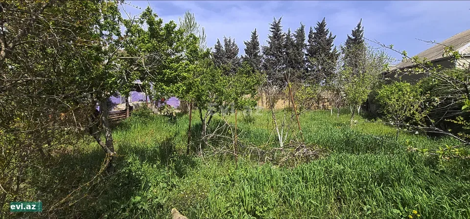 5 Sot Torpaq Sabunçu rayonu Kürdəxanı qəsəbəsi