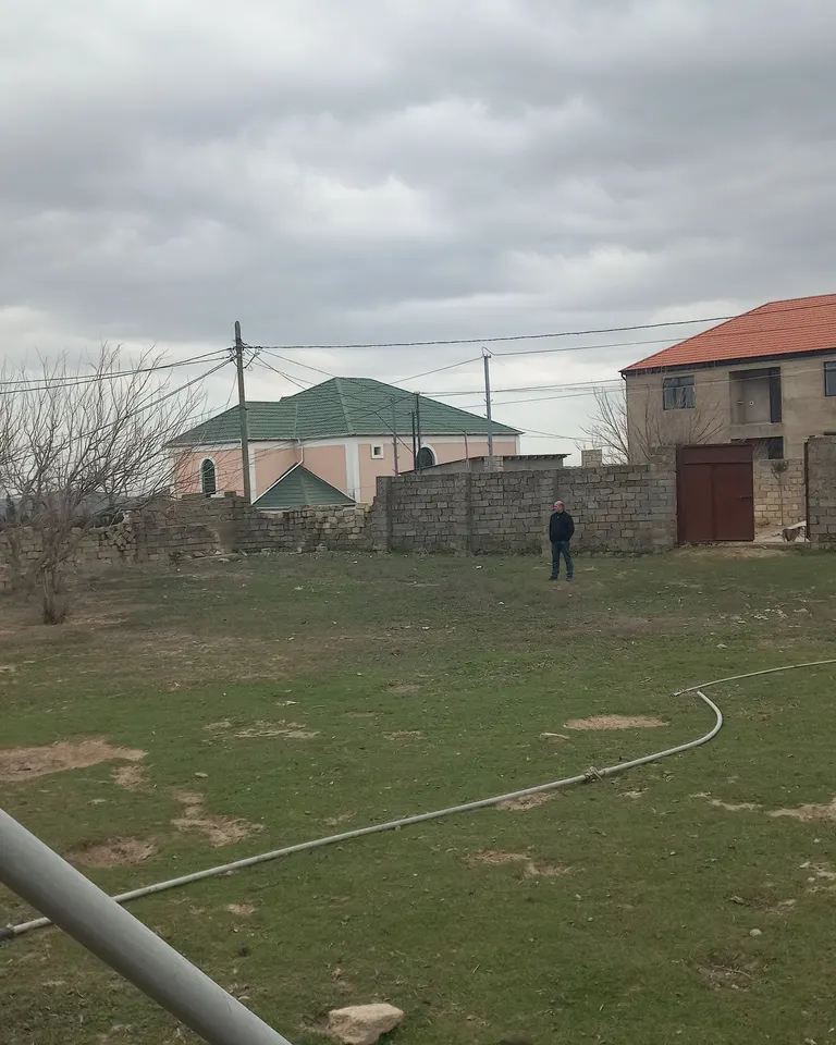 10 Sot,  Saray gesebesi