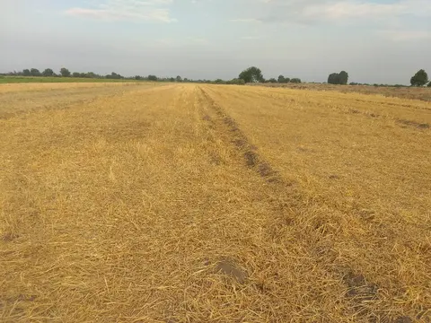 Kənd təsərrüfatı torpaq sahəsi satılır