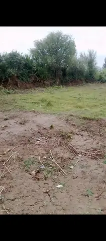 Həyət evi 25 m² Satılır Saatlı rayonu Qırağlı kəndi