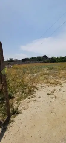 7,36 Sot Torpaq TOVUZ özünde