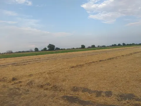 2.30 Sot Torpaq Tərtər rayonu soyulan kəndi