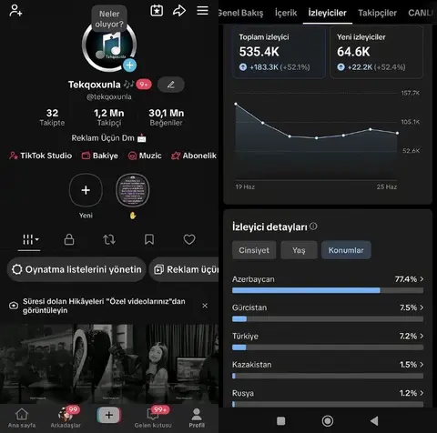 Tiktok sehifesi
