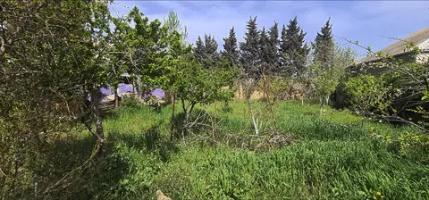 5 Sot Torpaq Sabunçu rayonu Kürdəxanı qəsəbəsi