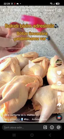 Kənd çolpaları