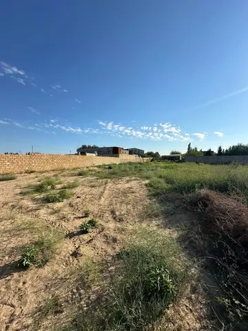 9 Sot Ləhiş bağları, 26-cı dalan